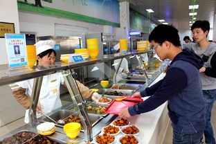 強化監督評議，提升餐飲服務管理水平